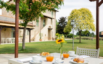 Villa Apollinare: Tuin