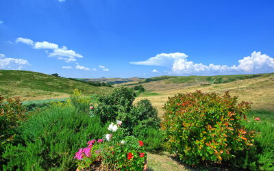 Castelmuzio: Scenic View