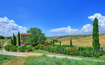 Castelmuzio: Outdoor, Scenic View