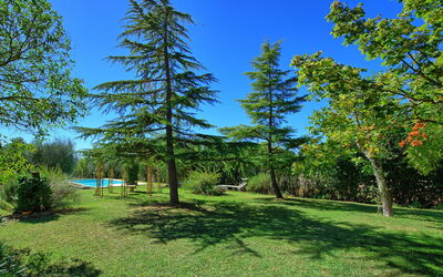 Casa Cipressi: Giardino