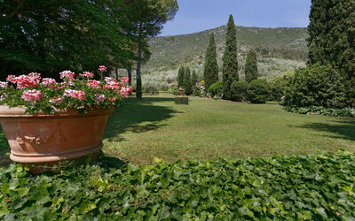 Villa de Ranieri: Jardin
