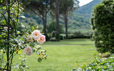 Villa de Ranieri: Extérieur, Jardin