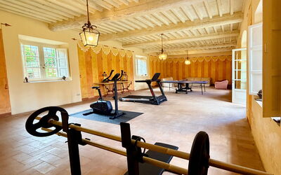 Villa de Ranieri: Activités