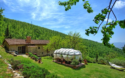 Villa Tenuta Lonciano: all'aperto, Balcone / Terrazza / Patio, Esterni, Giardino