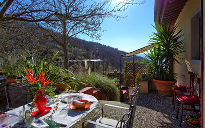 Villa Tenuta Lonciano: all'aperto, Giardino