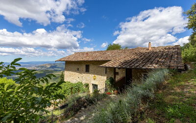 Villa Tenuta Lonciano: all'aperto, Esterni