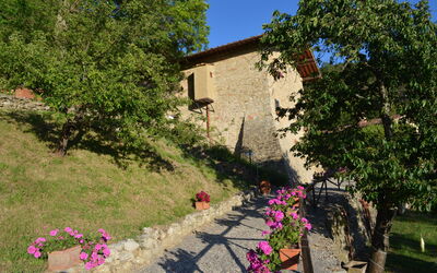 Villa Tenuta Lonciano: Giardino