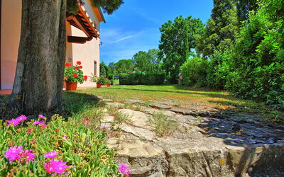 Villa Picchio: Extérieur, Jardin