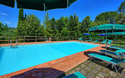 Villa Picchio: bassin, Extérieur