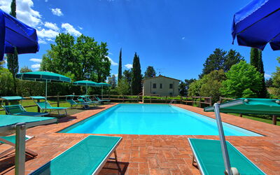 Villa Picchio: bassin, Extérieur