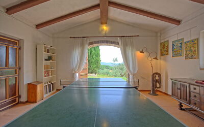 Villa Uccellaia: Salon