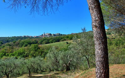 Villa Uccellaia: Extérieur, Jardin, Vues