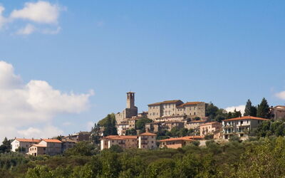 Villa Uccellaia: Vues