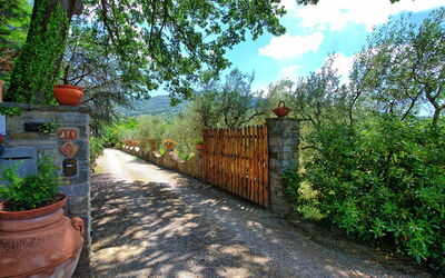 Casale San Martino: all'aperto