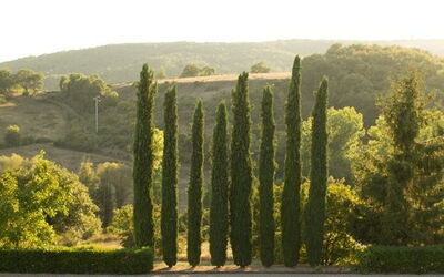 Villa Guia: Scenic View