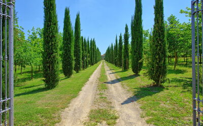 Villa Giare: all'aperto, Giardino, Vista Panoramica