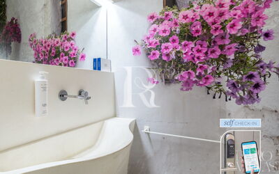 Vico Quaranta Deluxe 2