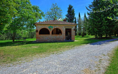 Villa Mario: Giardino