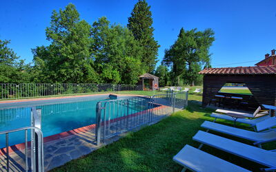 Villa Mario: all'aperto, Esterni, Giardino, Piscina