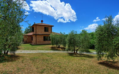 Villa Palmina: Buitenkanten, Tuin