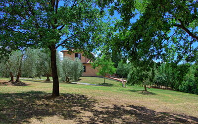 Villa Palmina: Tuin