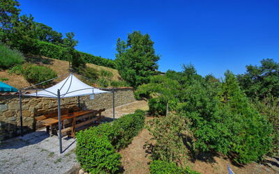 Borgo Veronica: Giardino