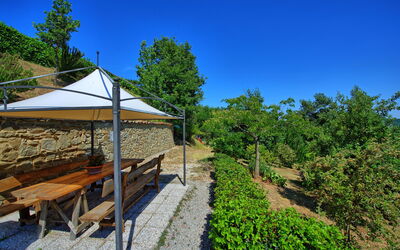 Borgo Veronica: Giardino