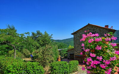 Borgo Veronica: Esterni, Giardino