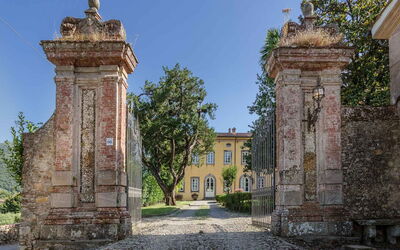 Villa Danielle: Buitenshuis, Tuin