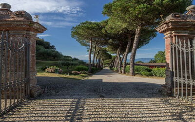 Villa Danielle: Buitenshuis, Tuin