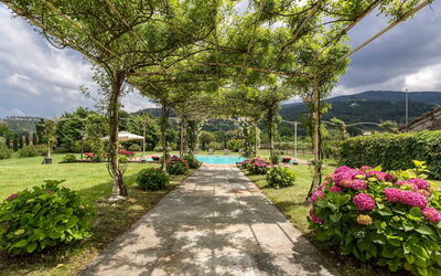 Villa Lucci: bassin, Jardin
