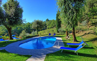 Villa Ulivacci: Giardino, Piscina