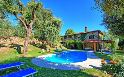 Villa Ulivacci: all'aperto, Estate, Esterni, Giardino, Piscina