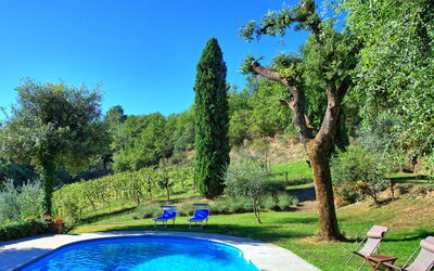 Villa Ulivacci: Piscina