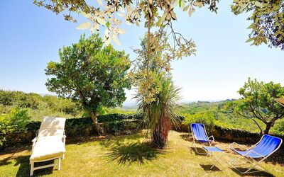 Villa Ulivacci: Giardino