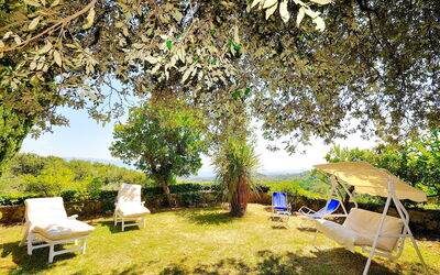 Villa Ulivacci: Giardino