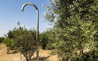 Villa Chiugi: Extérieur, Jardin