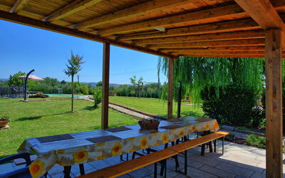 Casa Violina: Garden