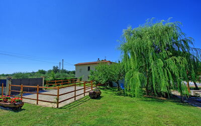 Casa Violina: Garden