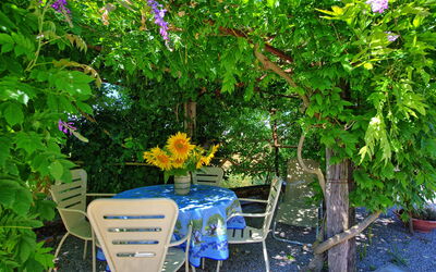 Casa Violina: Garden