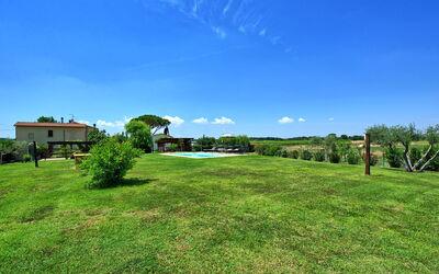 Casa Violina: Garden, Outdoor