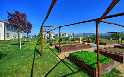 Il Sole di Vino: Activities, Garden