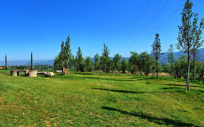 Il Sole di Vino: Garden, Scenic View