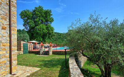 Querciolaia: bassin, Jardin