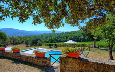 Casavecchia: bassin, Été, Extérieur, Jardin