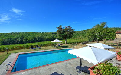 Casavecchia: bassin, Été, Extérieur, Jardin