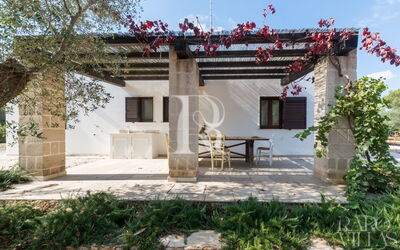 Lamia Turchese - Favola dei Trulli