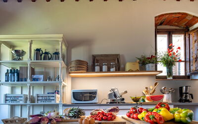 Villa Gerlino: Kitchen