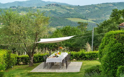 Villa Gerlino: Garden