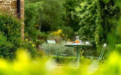 Villa Gerlino: Garden